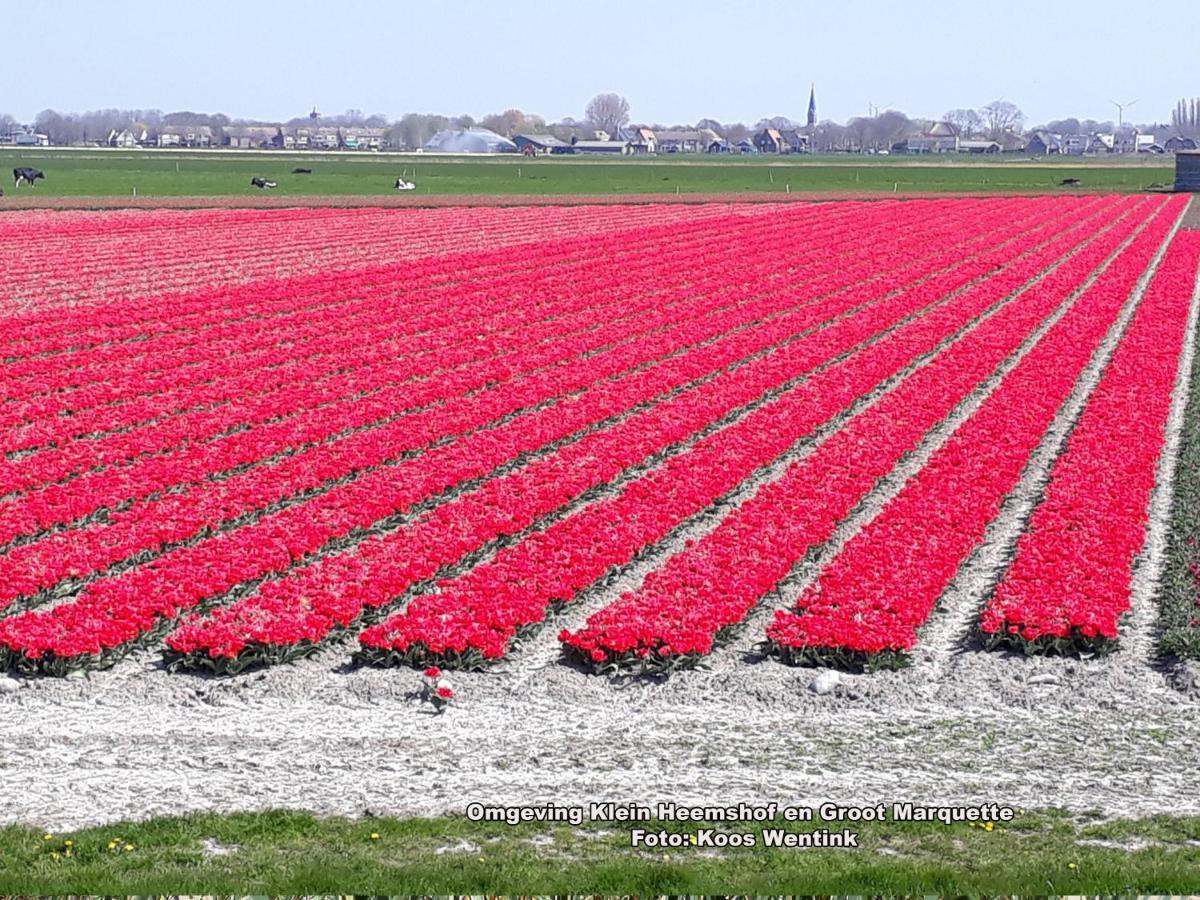 Klein Heemshof - Noord Holland Aan Uw Voeten Warmenhuizen Exteriér fotografie